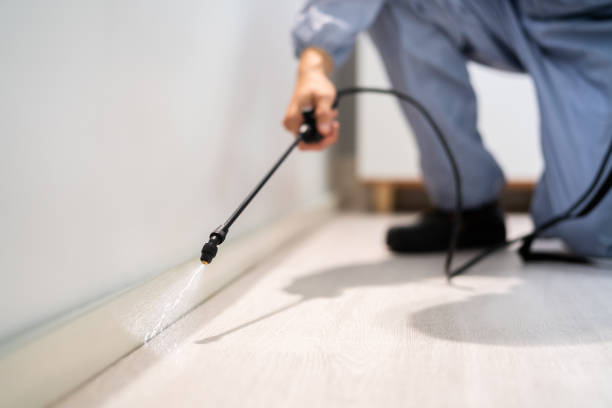 Bed Bug Pre-Treatment Preparation Assessment in Humble