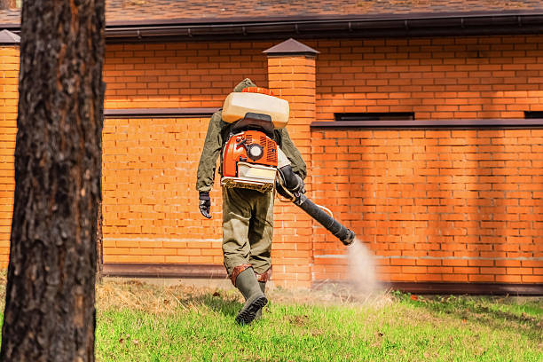 Bed Bug Clearance Verification and Documentation in Humble